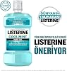 listerine, cool mint, daily oral care product, light taste, zero alcohol, mint flavored, 250ml