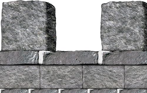 Beistle léopard 52080 Pierre Frise Murale, 50,8 cm par mètres