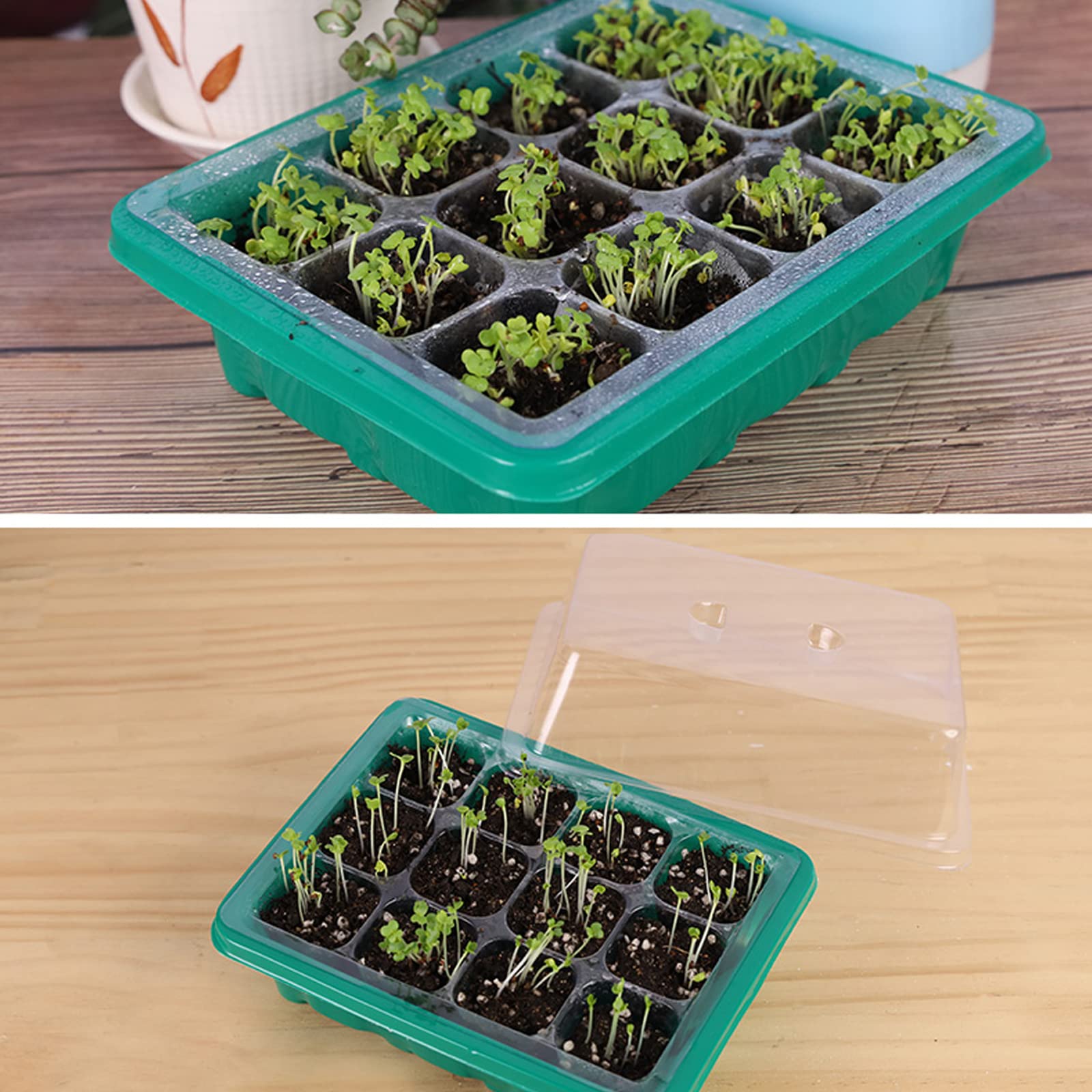 6 juegos de bandeja de semillas de invernadero, Bandeja de semillas de invernadero para interiores con orificios de ventilación para horticultura de jardín