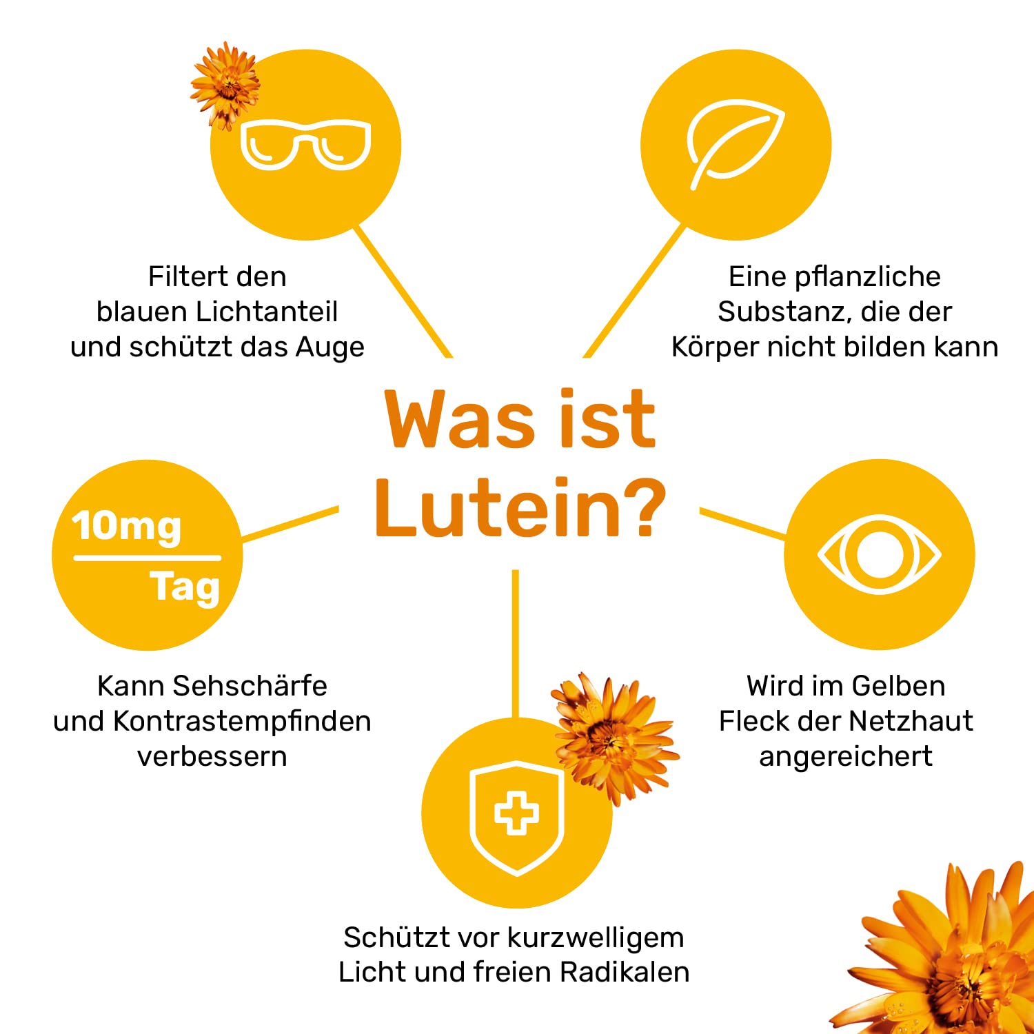 Lutamax 20 mg – 90 Kapseln | Lutein & Zeaxanthin | Augenvitamine zur Unterstützung der Sehkraft bei altersbedingten Augenproblemen | 3-Monats-Pack