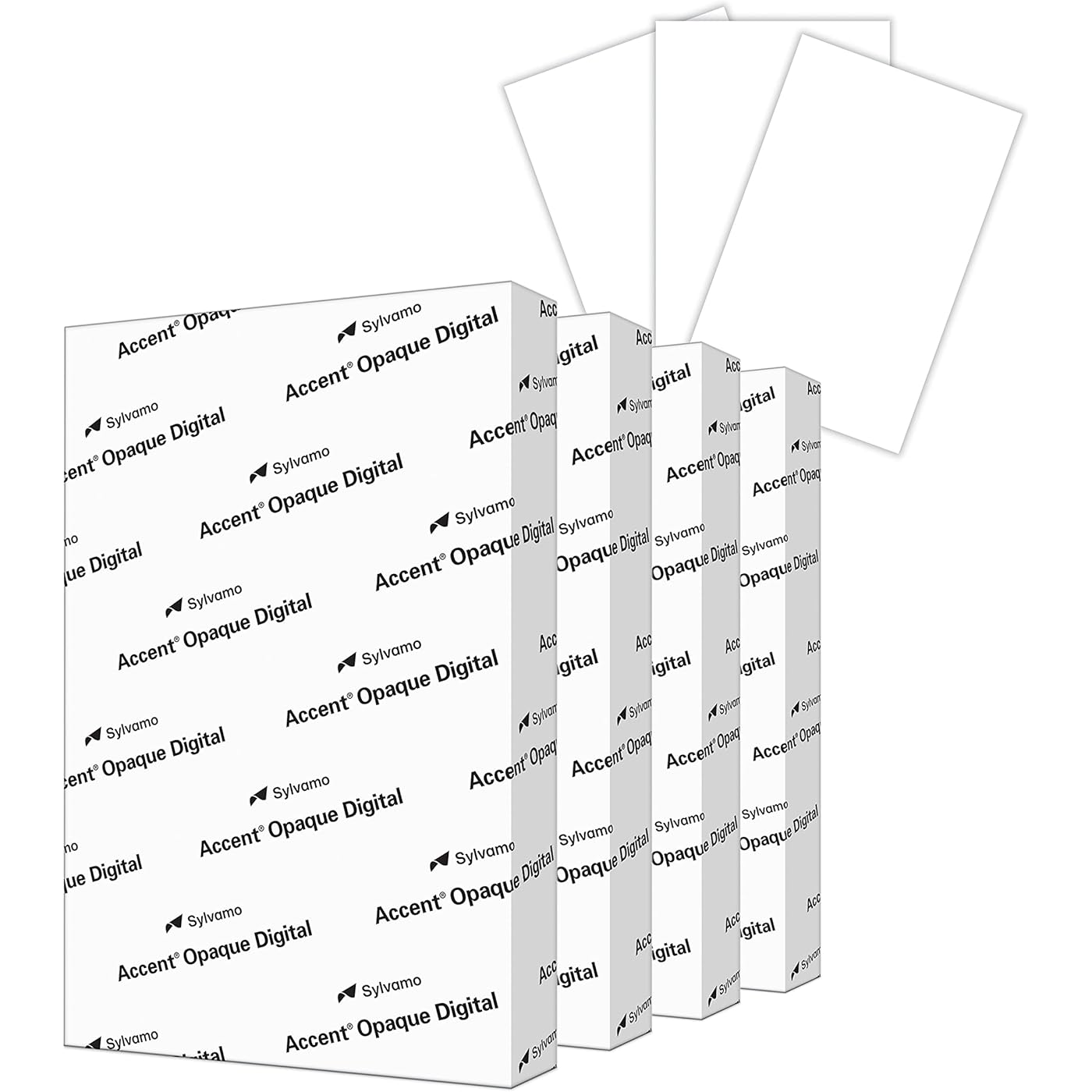 Gallery image 1