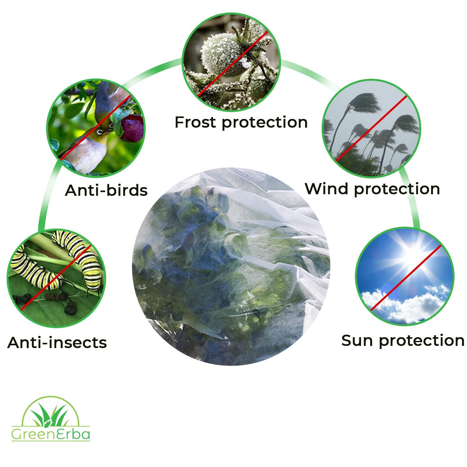 Telo Protettivo Per Piante Antigelo 24 M² - Tessuto Non Tessuto 30g/m², 2,4x10 M, Resistente Ai Raggi UV, Per Orto E Giardino