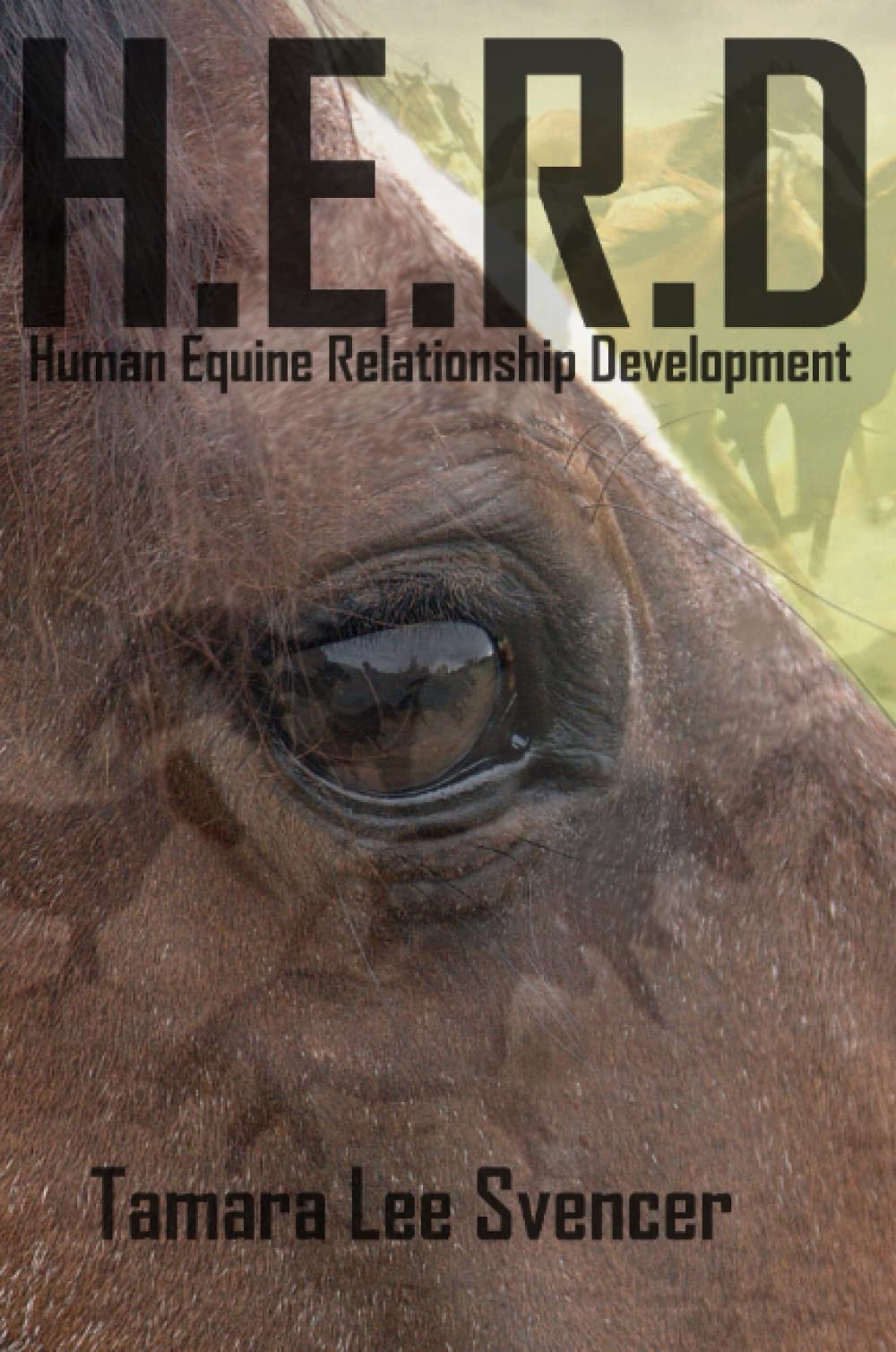 H.E.R.D Human Equine Relationship Development