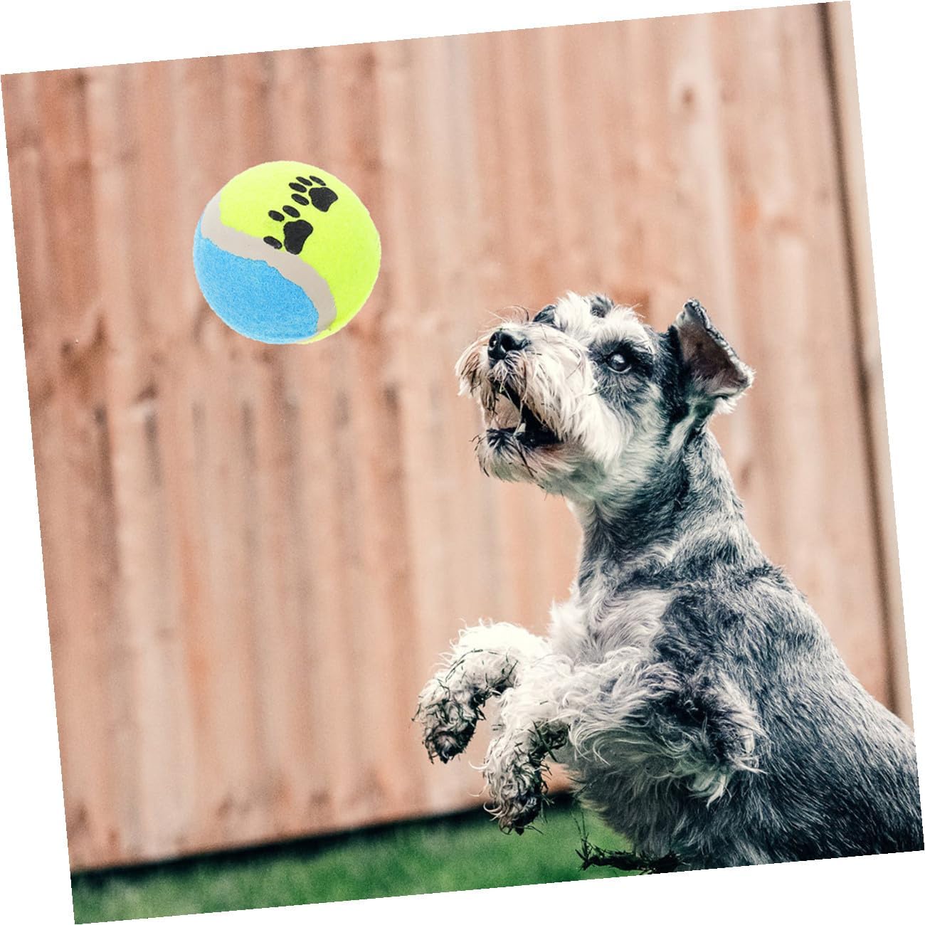 Kichvoe 16pcs Pet Tennis Balls Puppy Rubber Molar Balls 7cm Diameter Interactive Dog Activity for Small Dogs Training and Exercise Random Color