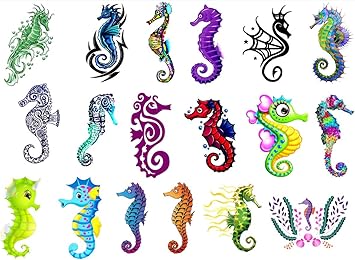Collection De Tatouages Temporaires Temporary Tattoos Collection Hippocampe Tatouage Seahorse Tattoo Amazon Fr Beaute Et Parfum