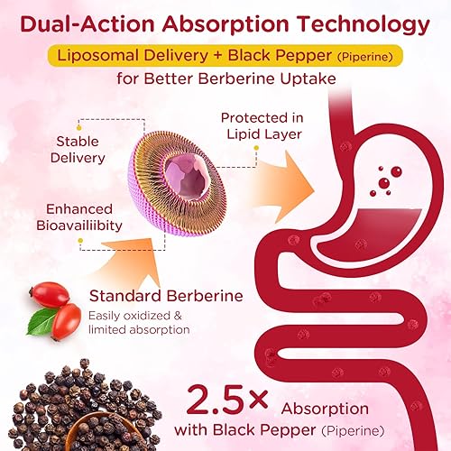 Miniatura 4 de Gomitas de suplemento de berberina liposomal de 2000 mg  Berberina HCL de alta potencia activa AMPK con canela de Ceilán  Innovación de doble