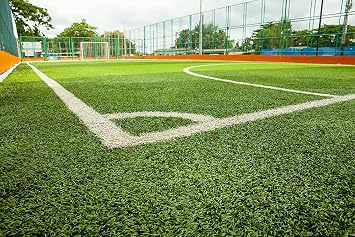 6 Piece Mixture Imported Grass Seeds - 10 kg