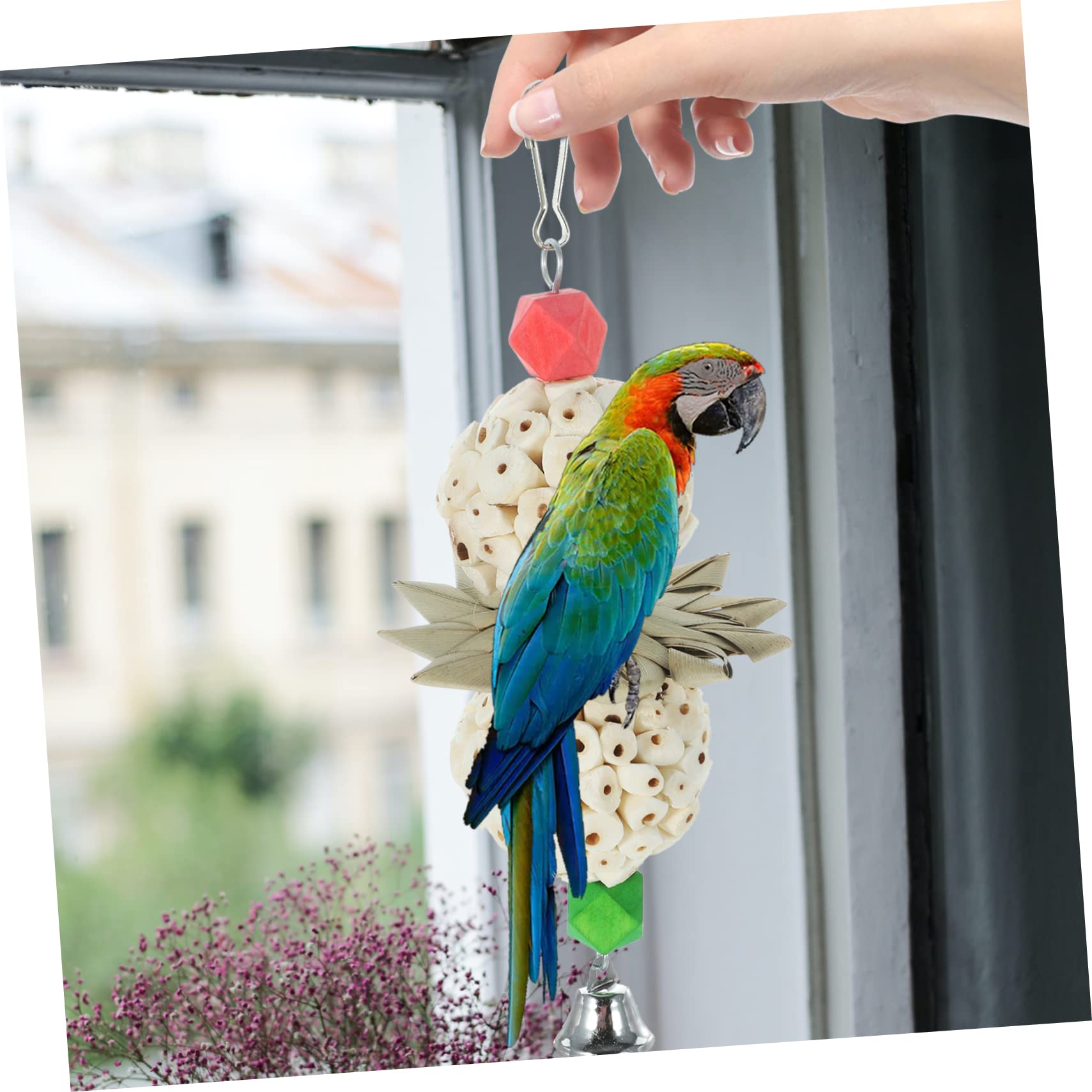 FRCOLOR 5 Pz giocattolo da masticare per pappagalli giocattoli abito bel giocattolo divertente giocattolo da masticare per uccelli Pappagallo forniture di uccelli di legno