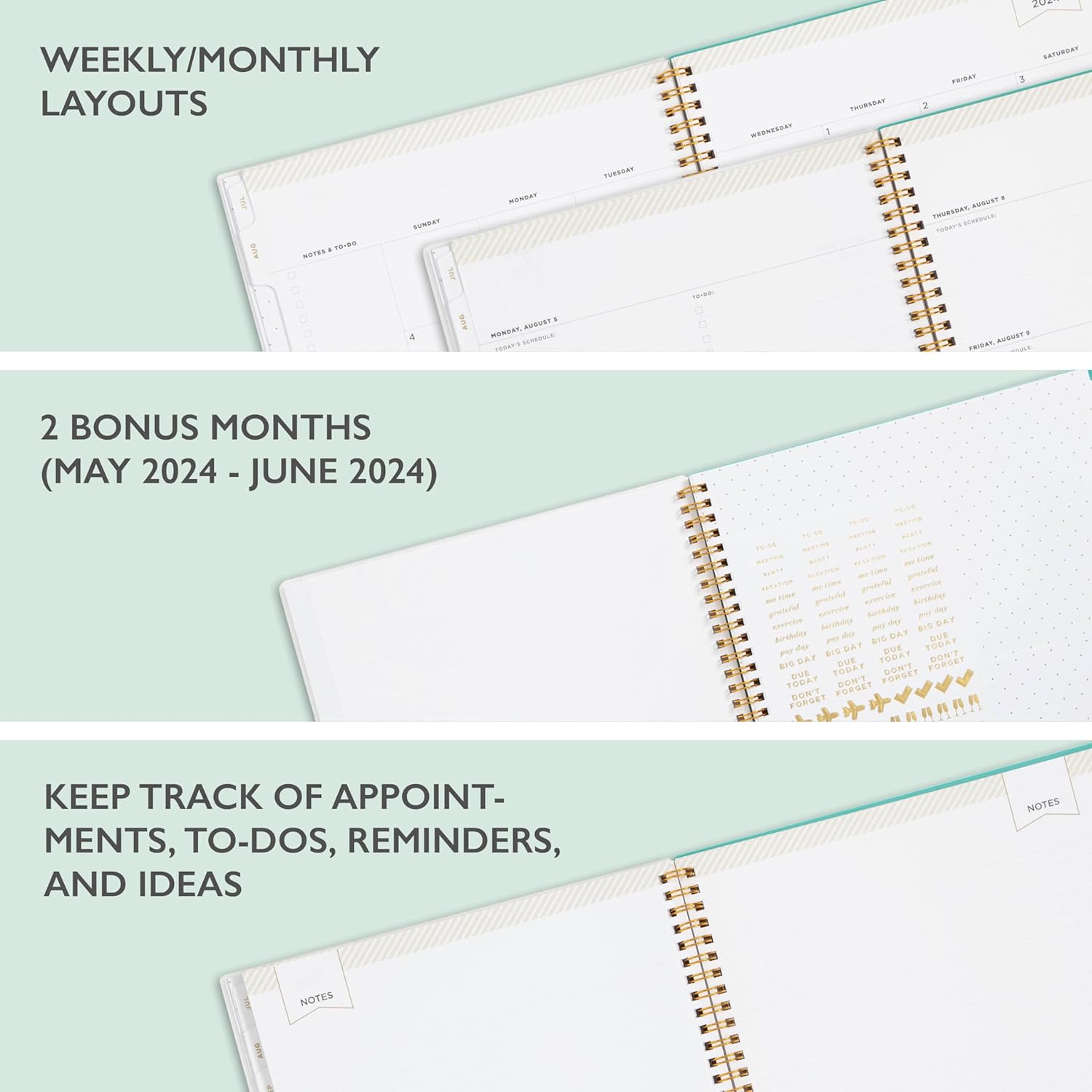 Blue Sky Day Designer for 2024-2025 Academic Year Weekly and Monthly Planner, 8.5' x 11', Frosted Flexible Cover, Wirebound, Palms (137891-A25)