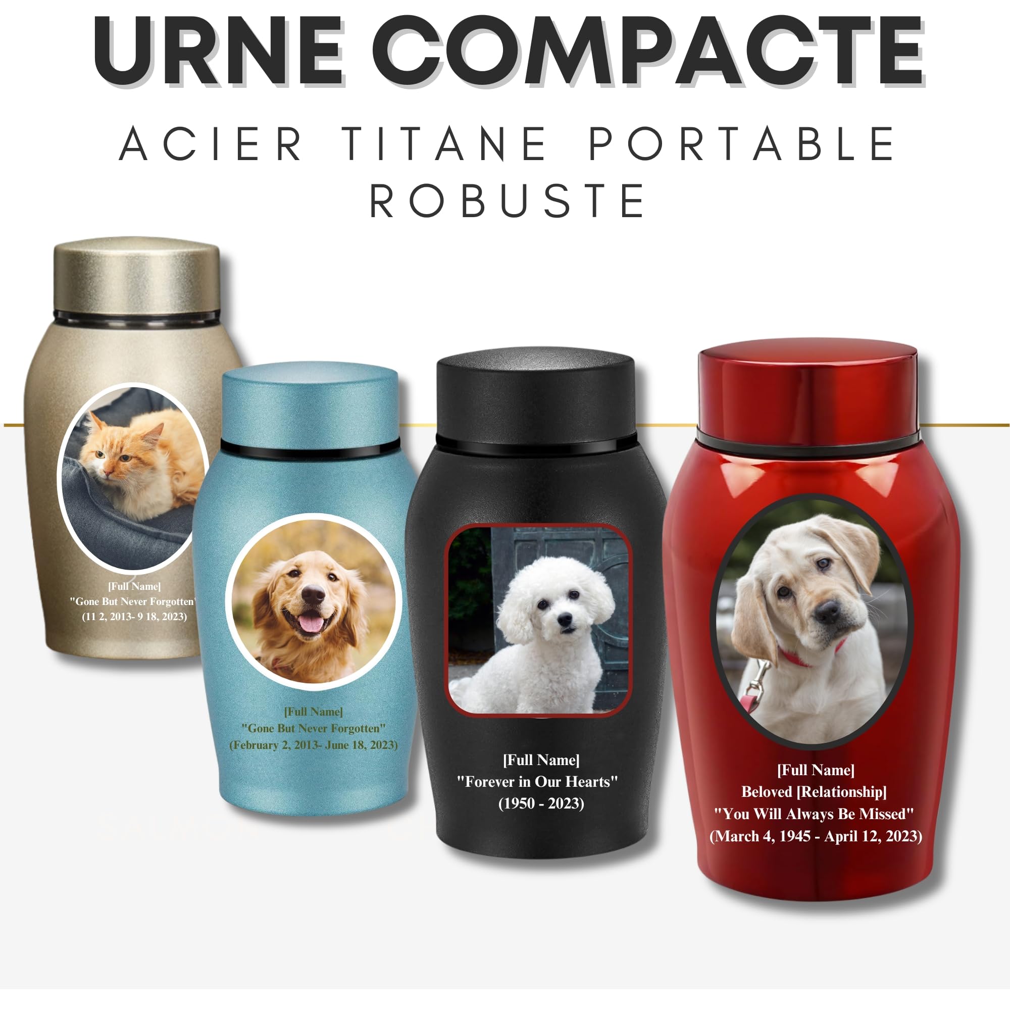 Urnes pour Cendres de Chien personnalisées, Urnes pour Animaux de Compagnie, Urnes de crémation pour Chien en Acier Inoxydable (Argent)