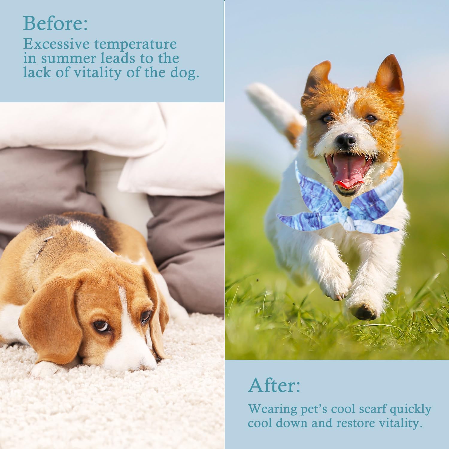 Bandana Rinfrescante per Cani, Collare di Raffreddamento, Sciarpa per il Ghiaccio per Cani, Collari per Cane di Raffreddamento, Bandana Cane per L'estate