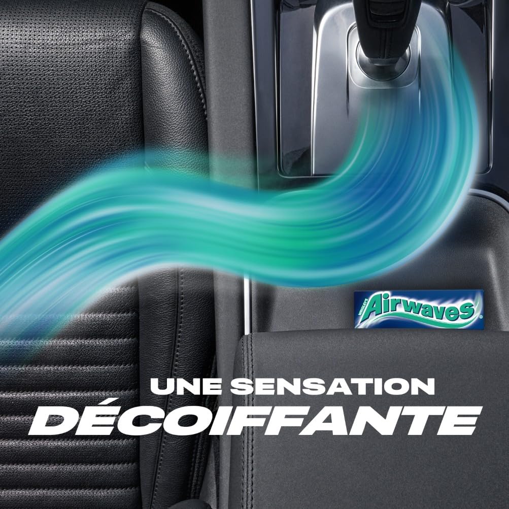 AIRWAVES Chewing Gum Sans Sucre Goût Menthol Eucalyptus Longue Durée 5 Paquets 10 Dragées 70g