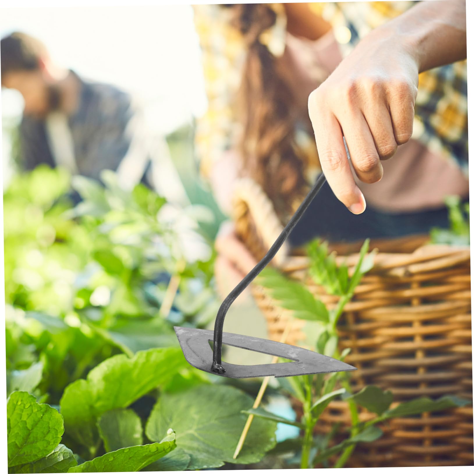 Toyvian 3 Piezas Herramientas De Deshierbe Jardinería Cultivación Pala Cultivar Cultivador Excavación Herramienta De Césped Herramienta De Arado Duradera Azada De Cultivo Plata Planchar