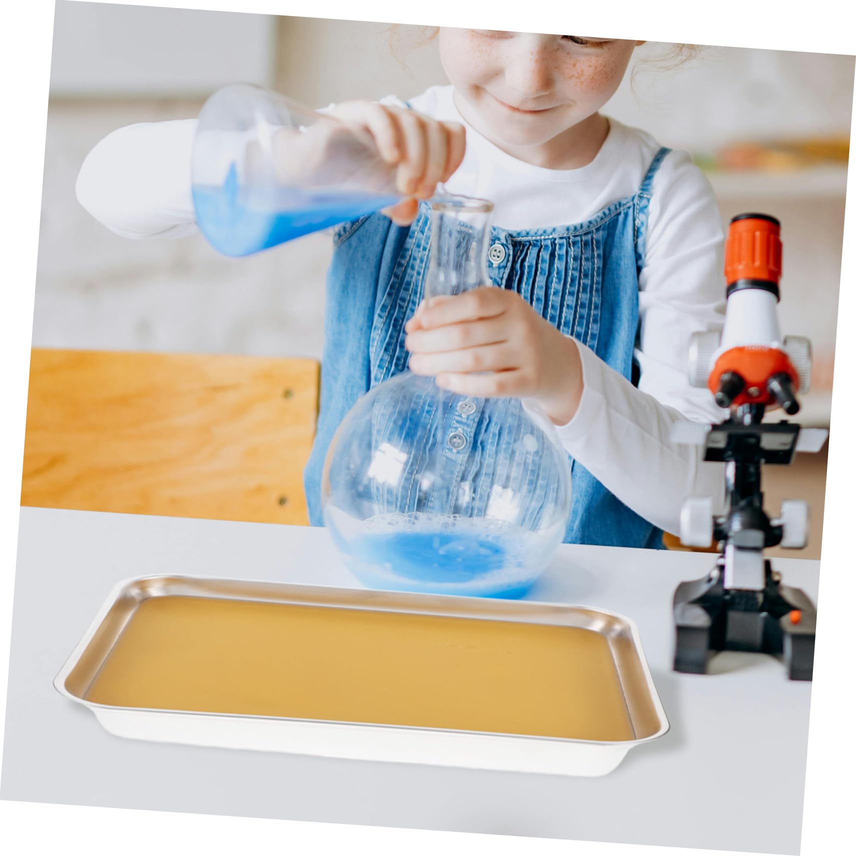 MAGICLULU Vassoio Di Dissezione in Metallo Inox 304 Per Laboratorio Biologico, Piastra Per Studio Del Corpo in Metallo Resistente, Vaschetta Per Dissezione Con Cera Per Scuole Medie e Superi
