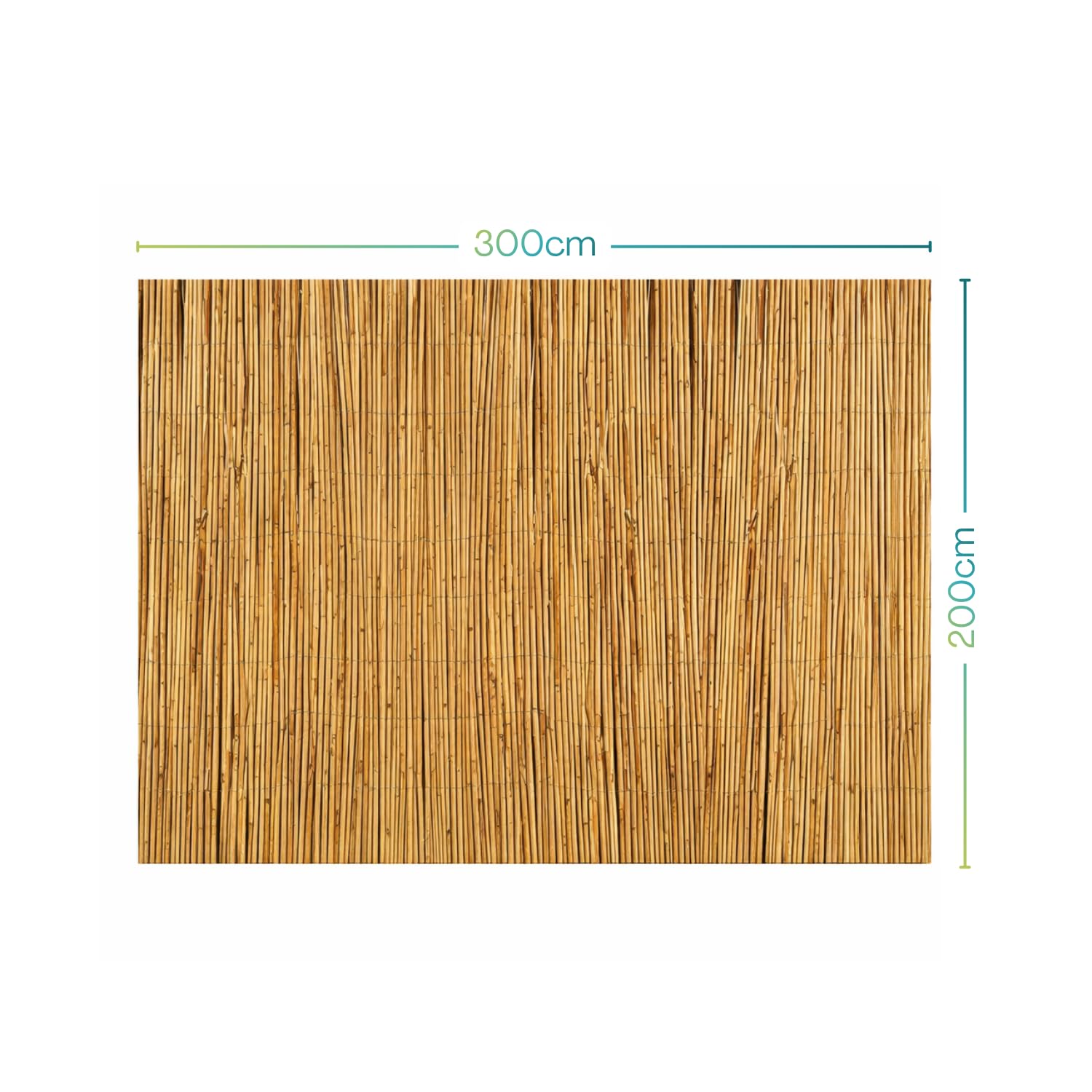 Virsus Arella in canna di Bambù, Recinzione Ombreggiante in bamboo naturale, Stuoia Frangivento e Frangivista per Decorazioni e Coperture, per Giardino, Balcone, Gazebo -3776F (200x300 cm)