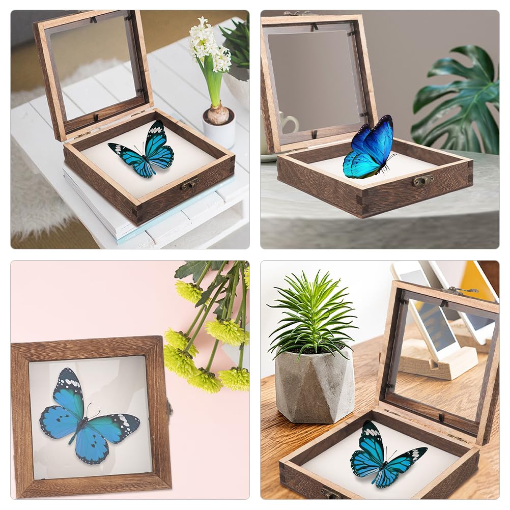 STOBAZA Vetrina in legno per campioni di insetti con coperchio trasparente, 10 x 10 x 4 cm, espositore compatto per la presentazione di farfalle e campioni di piante