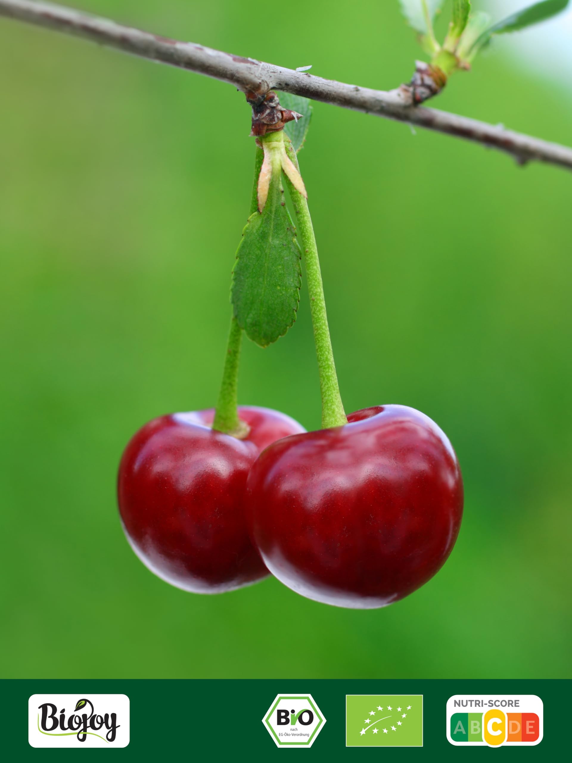 Biojoy Cerezas secas BÍO (1 kg), sin hueso, sin azúcar añadido y azufre