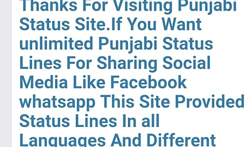 punjabi status