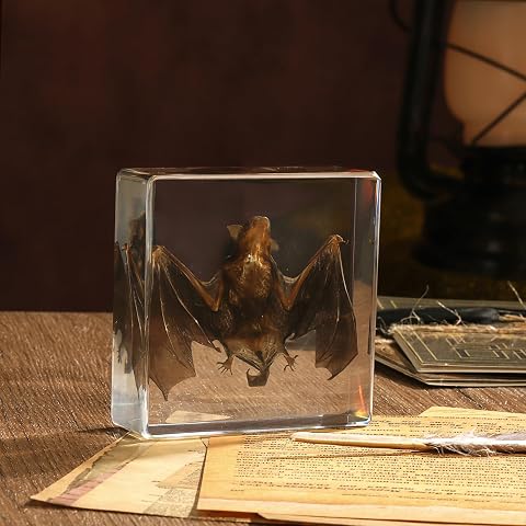 Taxidermy Bat in Resin