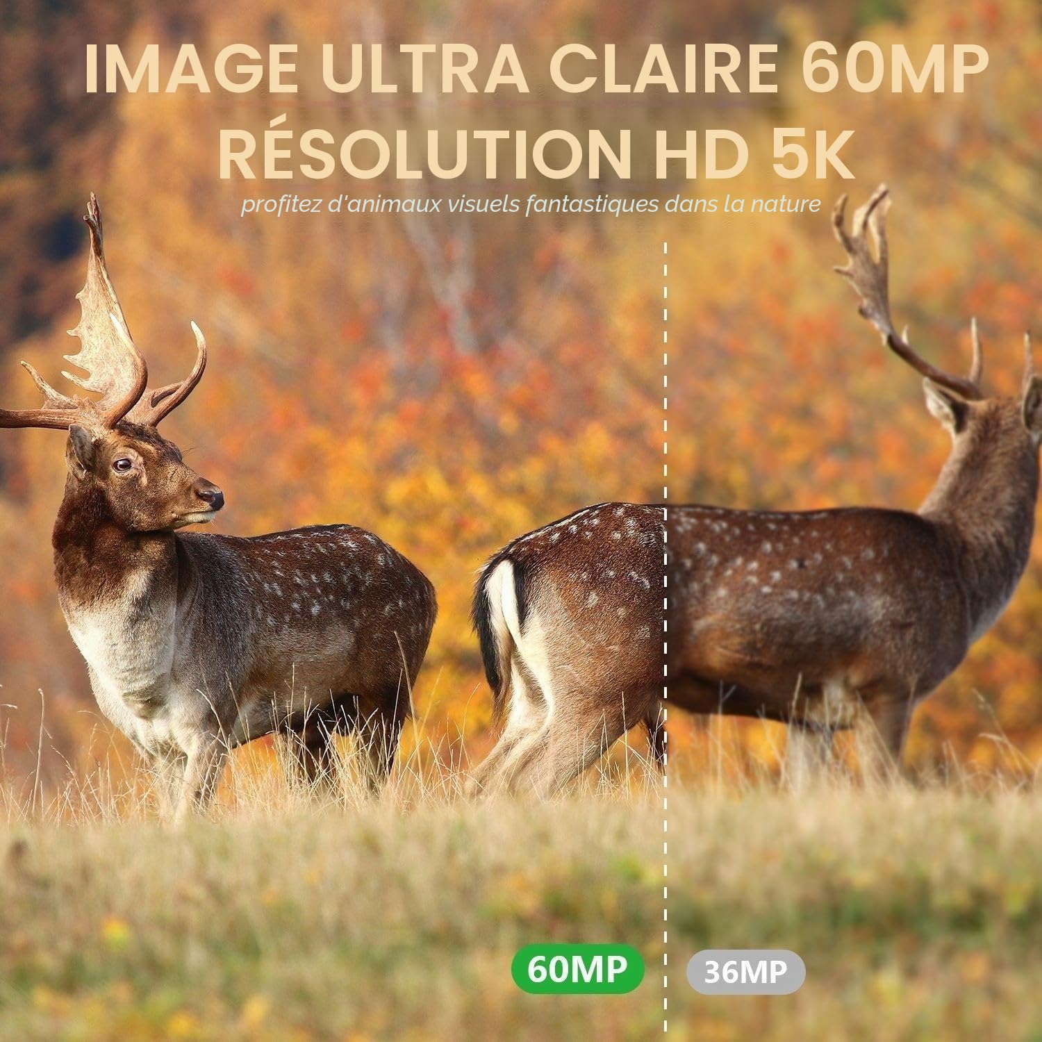 Caméra de chasse 5K avec 4G LTE et solaire, transmission en temps réel via application, vision nocturne super infrarouge, batterie 5200 mAh, carte SD 32 Go, IP67 – Caméra pour animaux sauvages avec