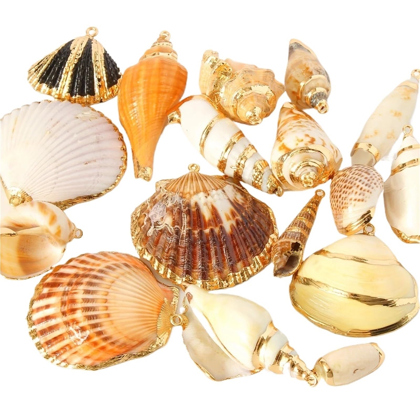 18 Pcs Shell Pendants Jewelry Making - Assorted Seashell Charms For Necklaces, Bracelets, Earrings