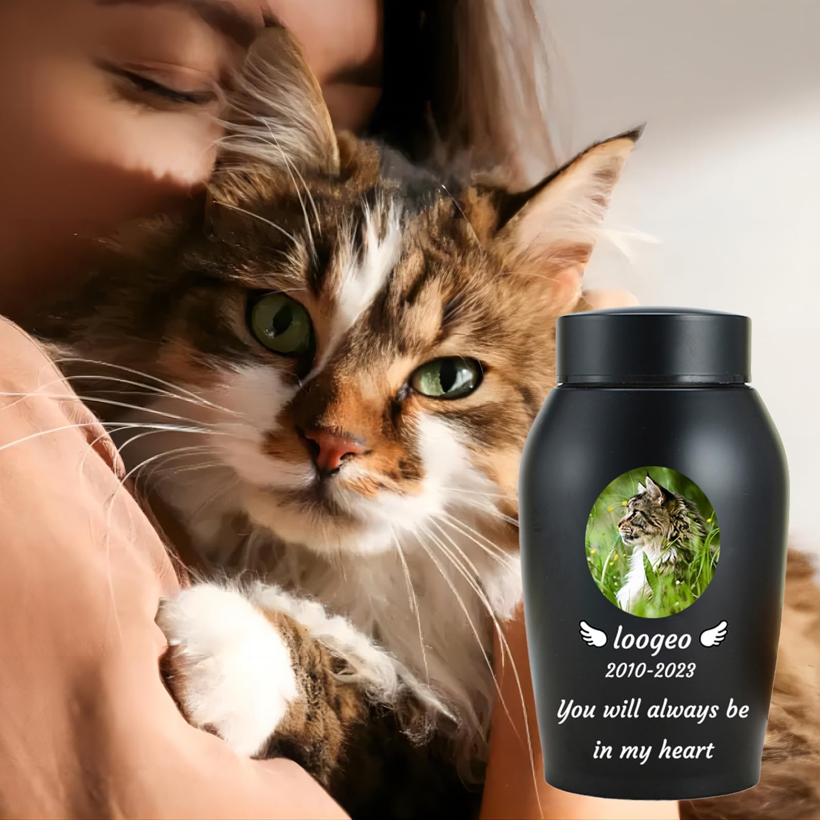 Haustier Urnen für Katzen Asche personalisiert, Katze Urnen für Asche anpassbar, Edelstahl Katze Einäscherung Urnen Katze Memorial Keepsake Urnen,Schwarz