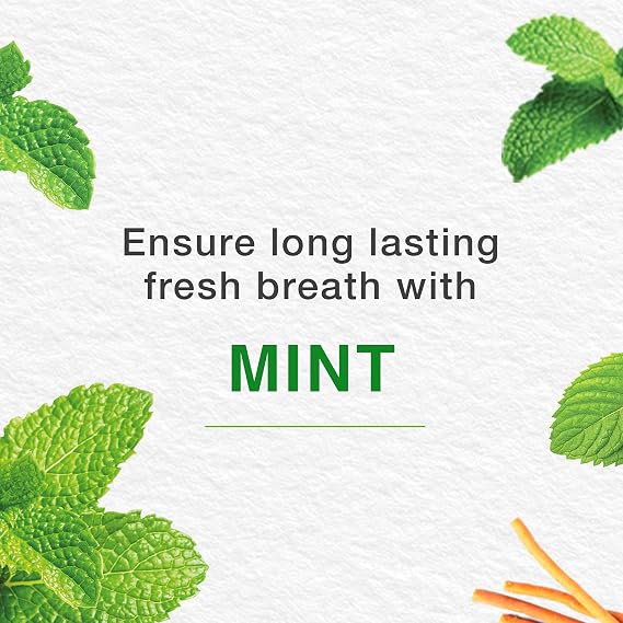 Himalaya Herbals Mint Toothpaste with Active Ingredients - 75ml (Pack of 2)