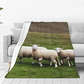 最終値下げMaison STRAM SHEEP 羊デザインブランケット 最終値下げMaison STRAM SHEEP 羊デザインブランケット