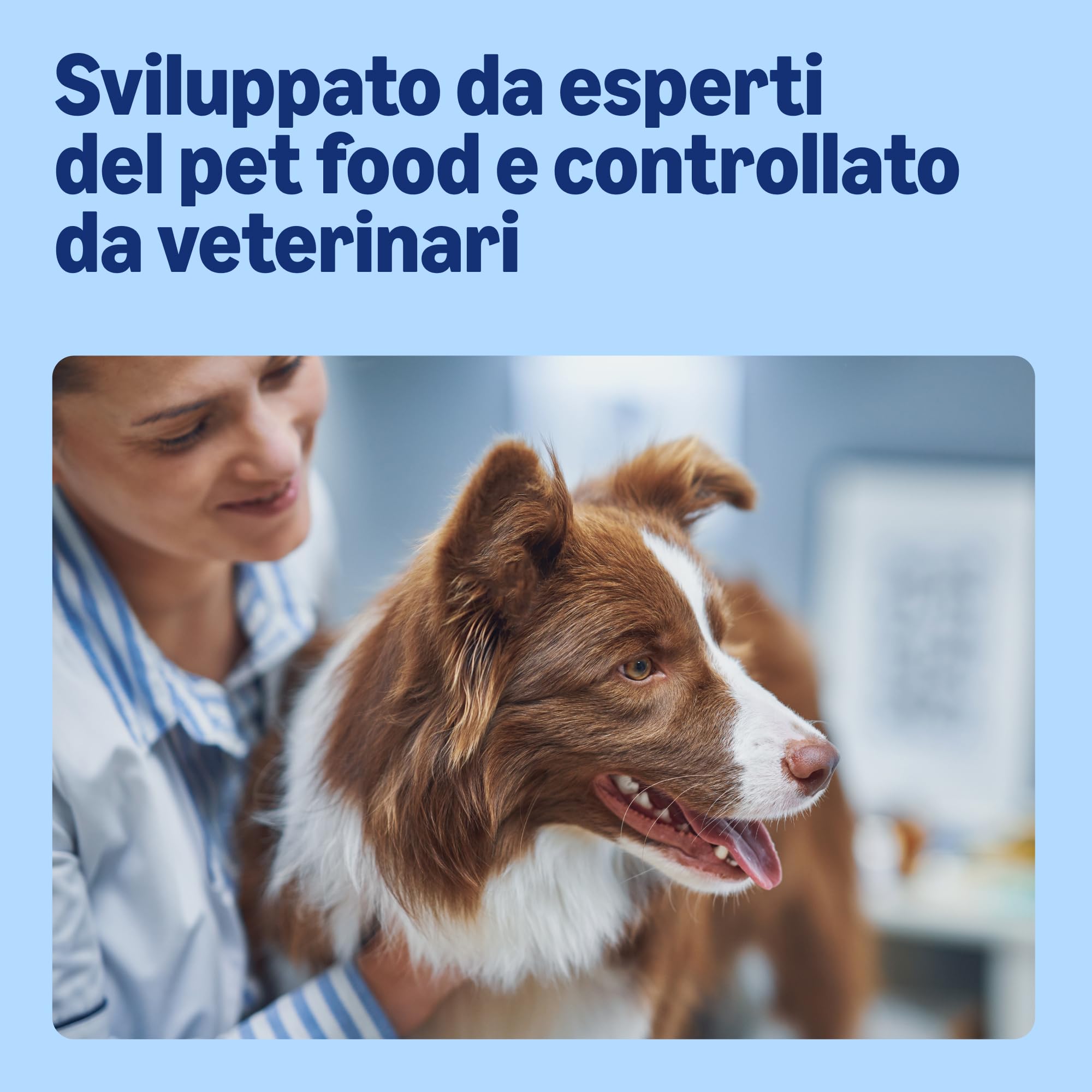 by Amazon - Alimento secco completo per cani adulti ricco di manzo con piselli, 1 confezione da 20 kg