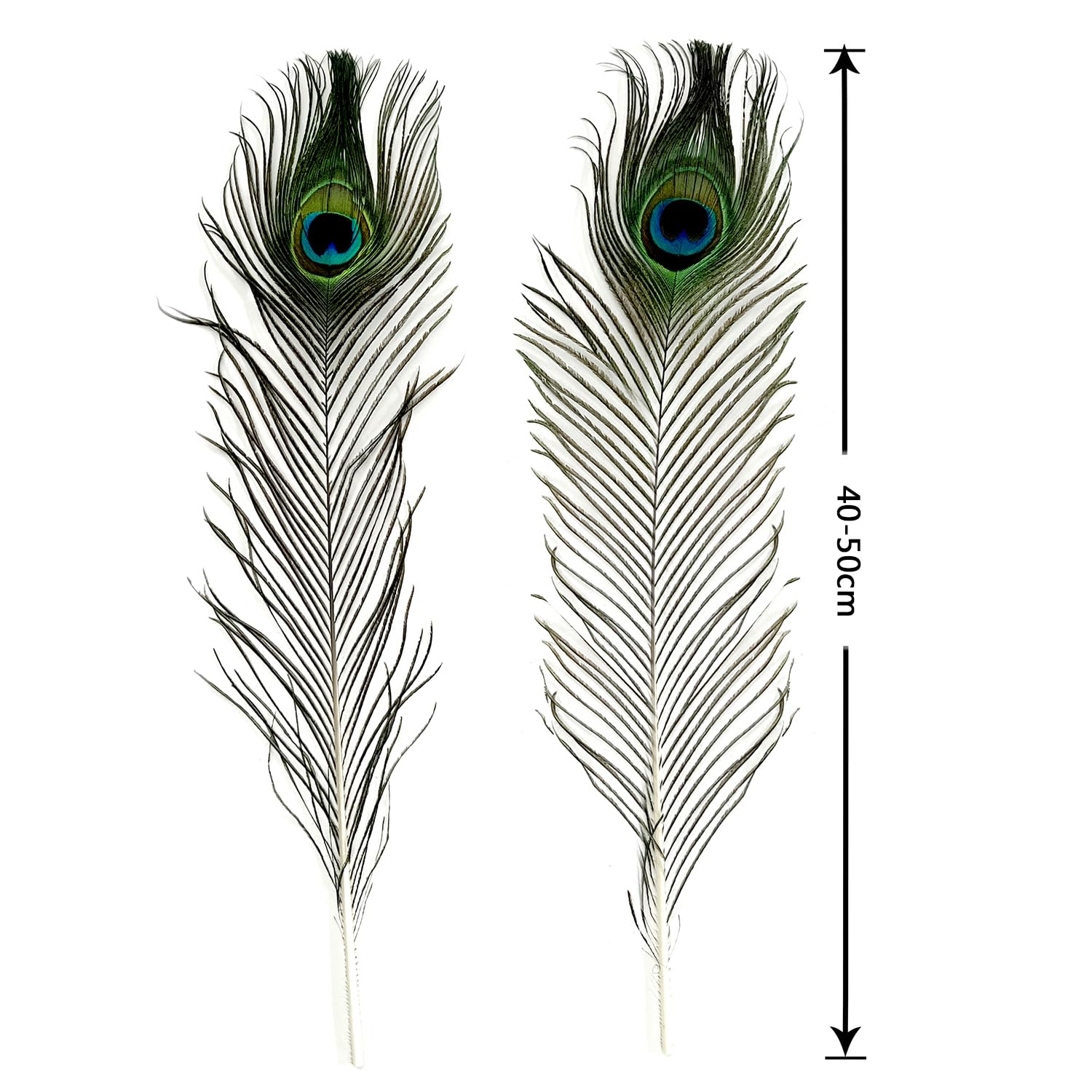 25 plumas naturales de pavo real con ojos de plumas de cola de pavo real de 16 a 20 pulgadas (40 – 50 cm) para la fiesta de bodas Arts and Crafts Home Decorations (25)