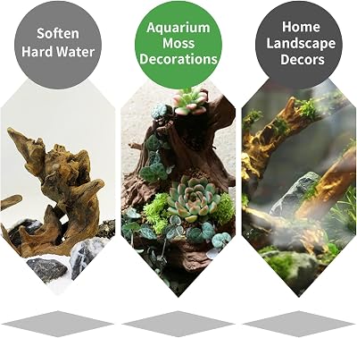 Hamiledyi Reptile Driftwood Decor – Natural Wood Branch Hideout For Bearded Dragon, Lizard Tank, Spider Habitat - View #7