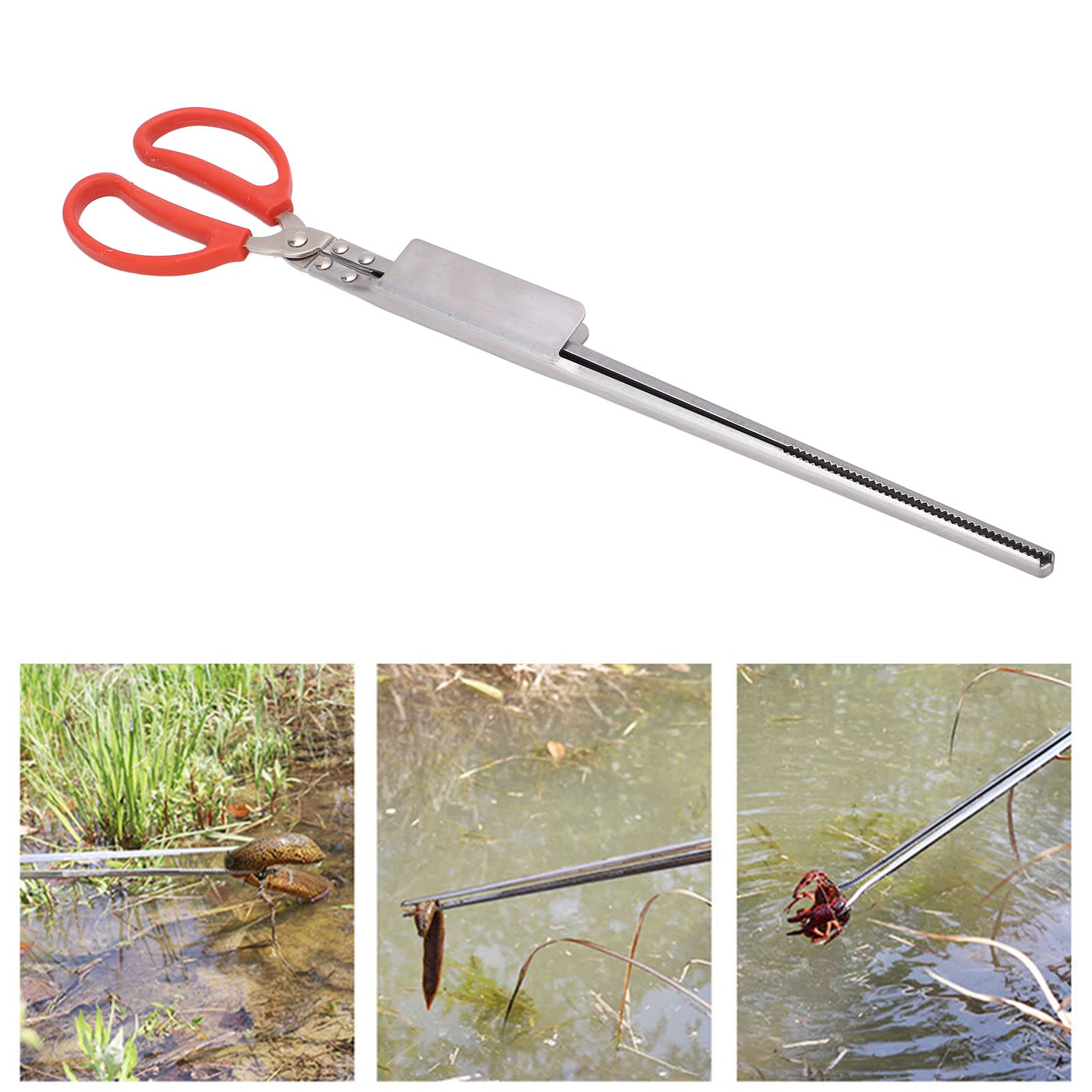 Pinze Multifunzione Per Granchio E Pesca – Lunghezza 40 Cm, Testa Curva, Manico Antiscivolo, Per Calamari, Polpi E Spazzatura