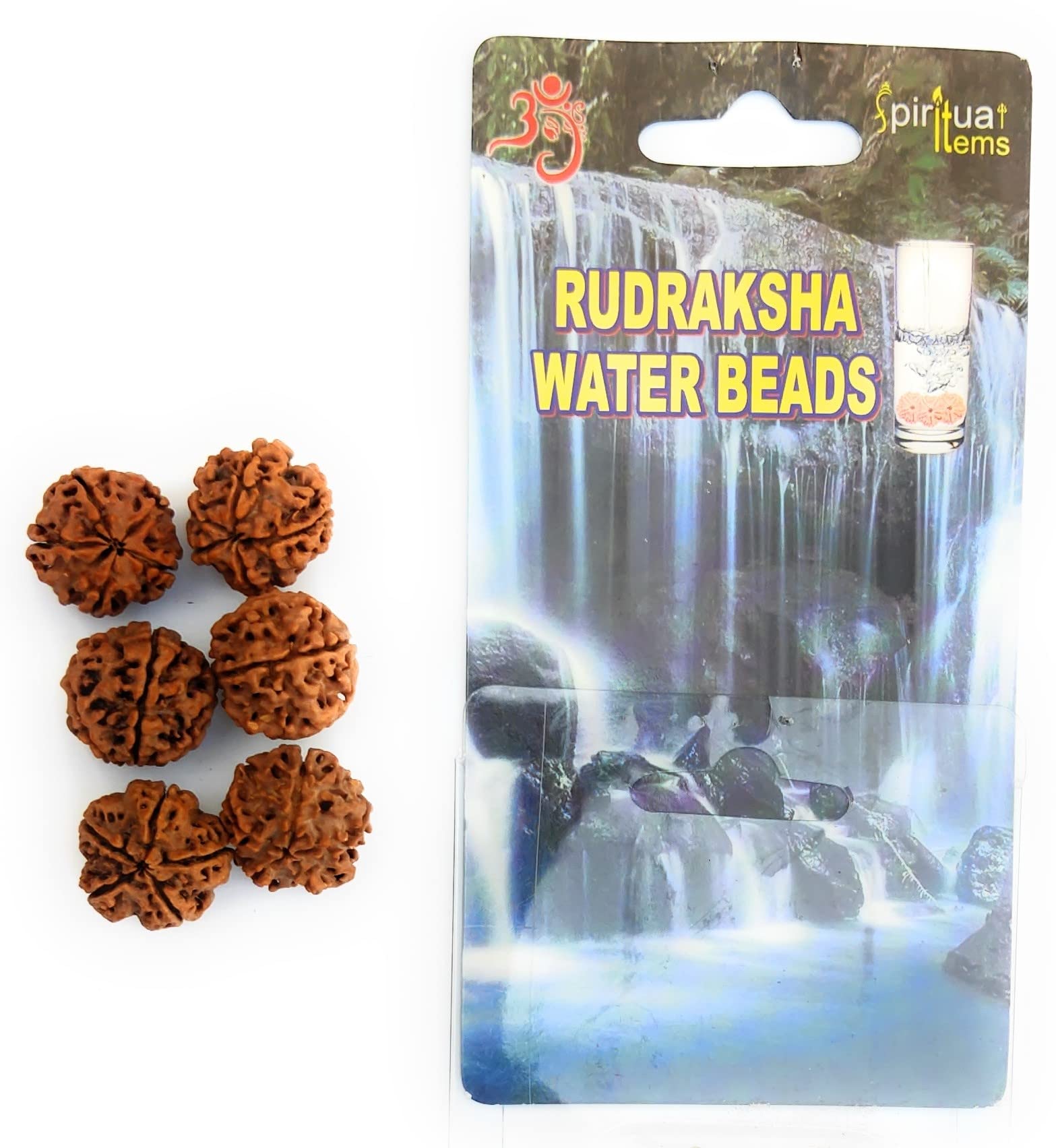 See full amazon price history chart for Apnisanskriti 5 Mukhi Rudraksha Water Bead - Natural Brown Five Face Rudraksh (Big Size, Lab Certified) - Pack of 6 Apnisanskriti 5 Mukhi Rudraksha Water Bead - Natural Brown Five Face Rudraksh (Big Size, Lab Certified) - Pack of 6 (B0B8DM3TYC) Amazon Price History, Amazon Price Tracker