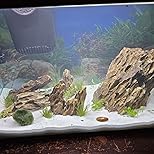 Customer Image, click to open customer review