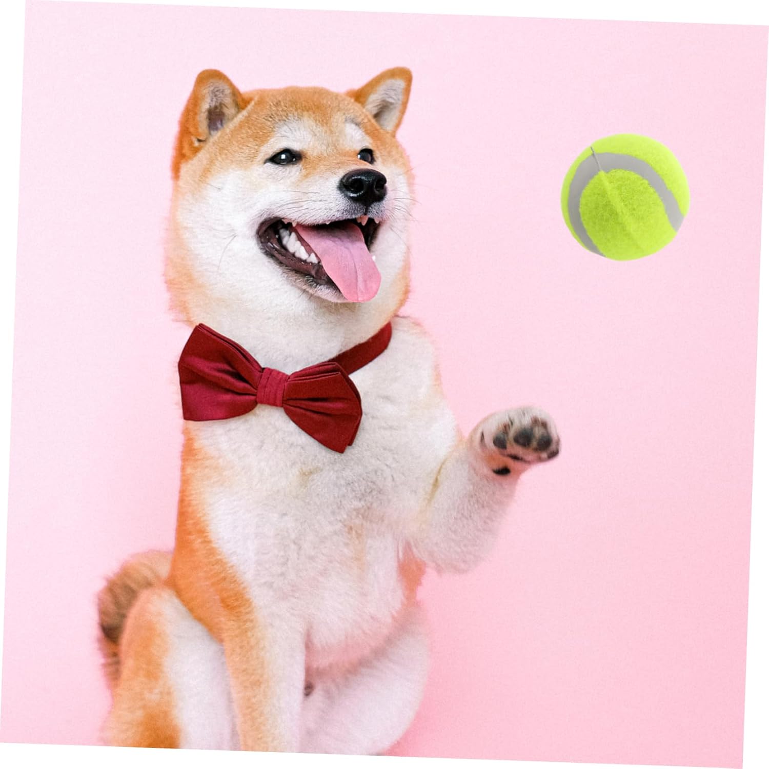 22pcs Dog Bouncy Tennis Balls Durable Rubber Chew for Large Medium Small Dogs Interactive Training Play Balls for and Exercise Activities