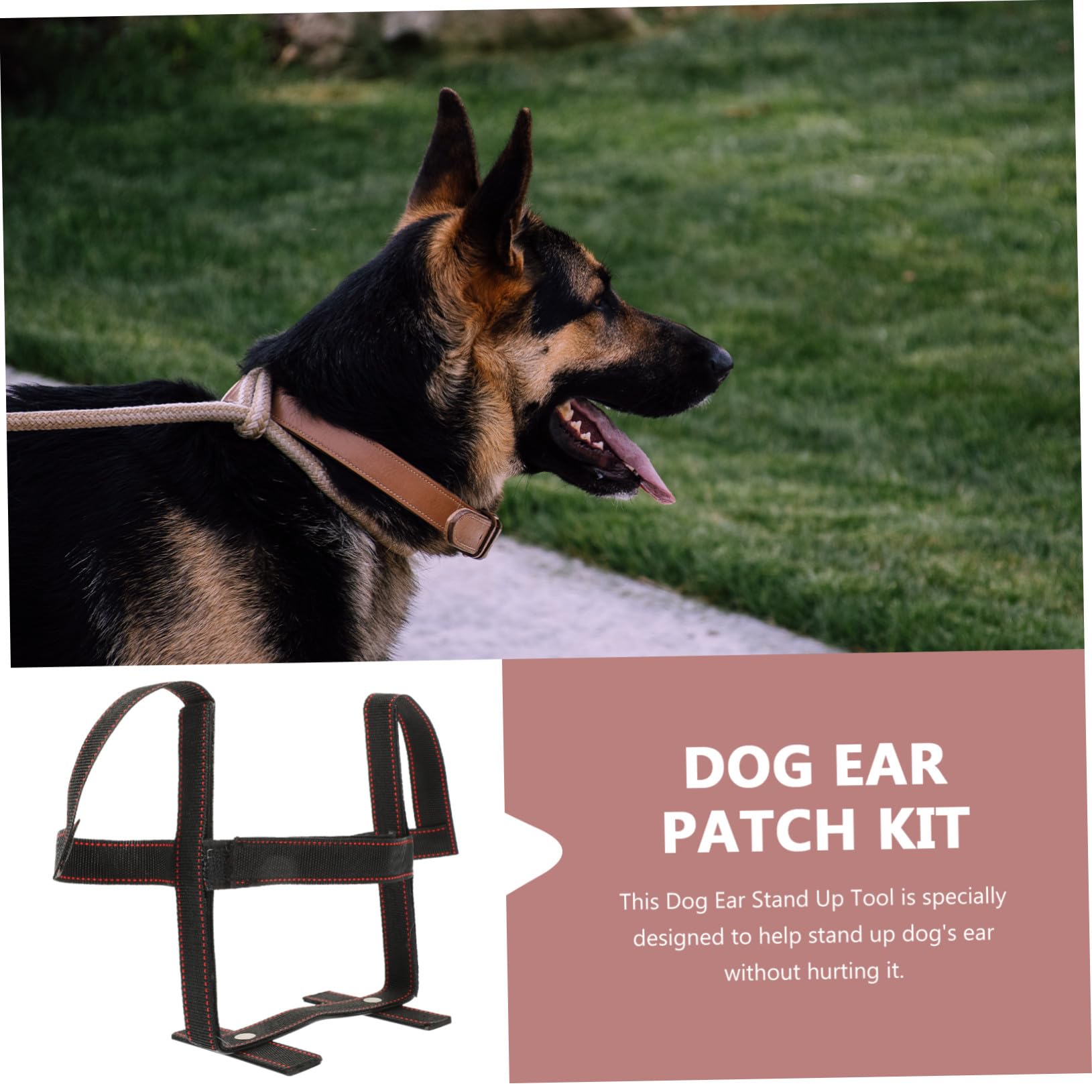 Soporte Pequeños de Poliéster para Orejas Perro de Negro Herramienta Conveniente Kit Simple y Colocar Grandes Cachorro Perros