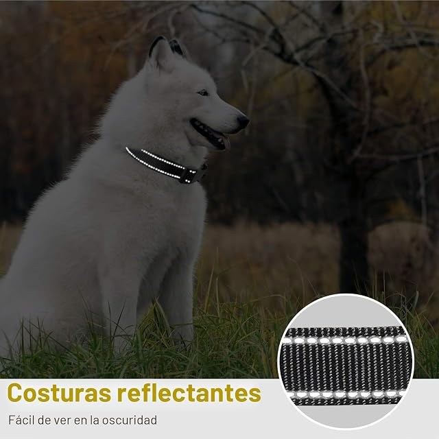Foto 4 de 7 de HEELE Collar Perro, Collar Nylon Reflectante Neopreno Forrado Ajustable para Perro Grande, Naranja, L