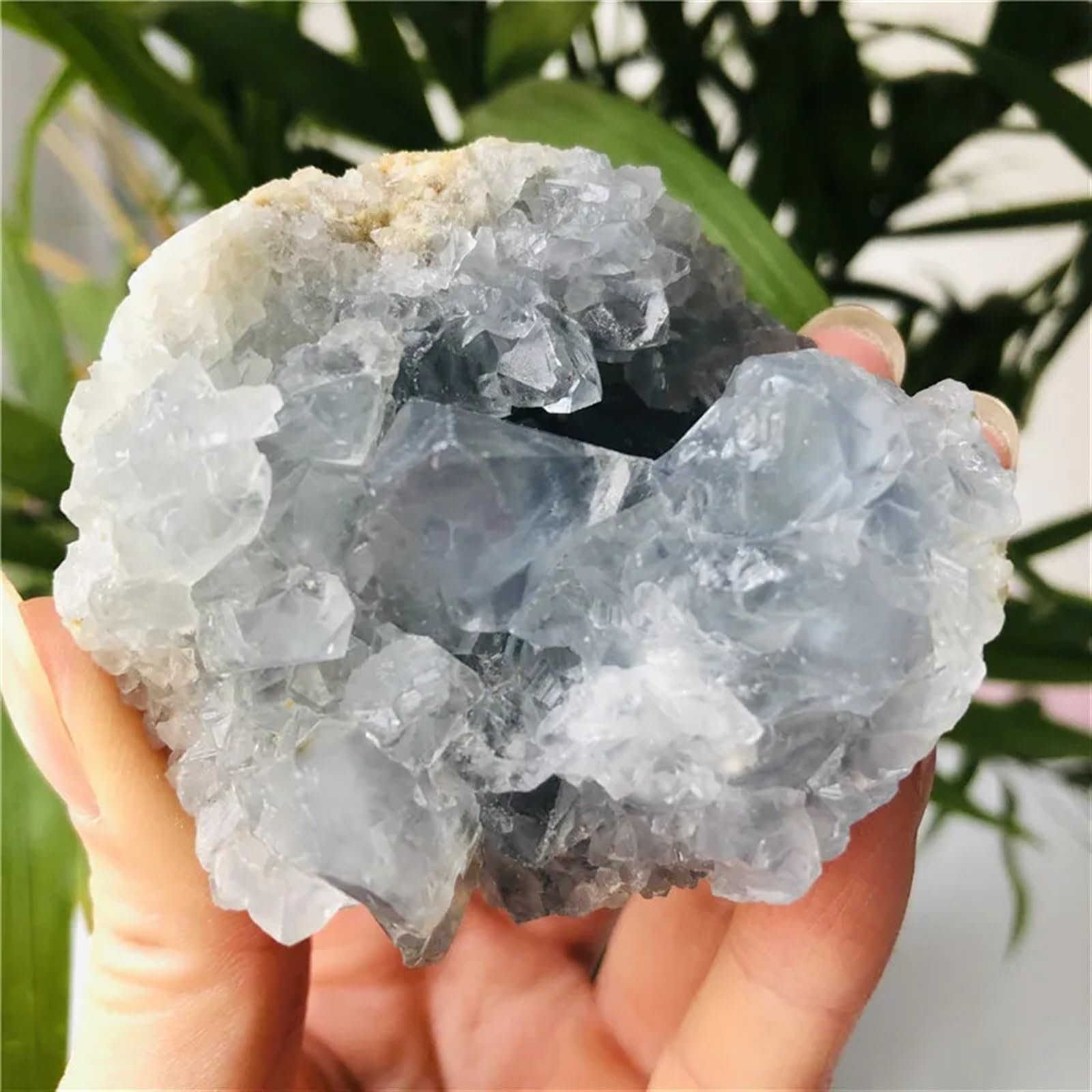 NHKSFBLQ Stone Celestite geode Quartz Cluster Crystal Gift