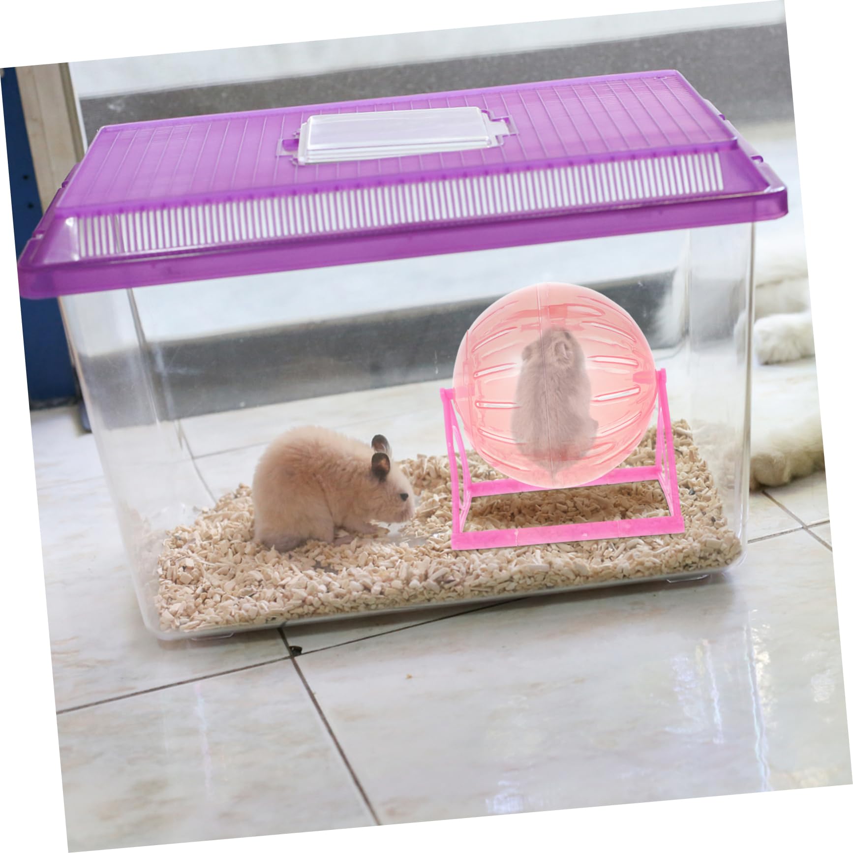 Abaodam Guinea Pig Exercise Ball Hamster Wheel for Cage Wheel Dwarf Hamster Ball Toy