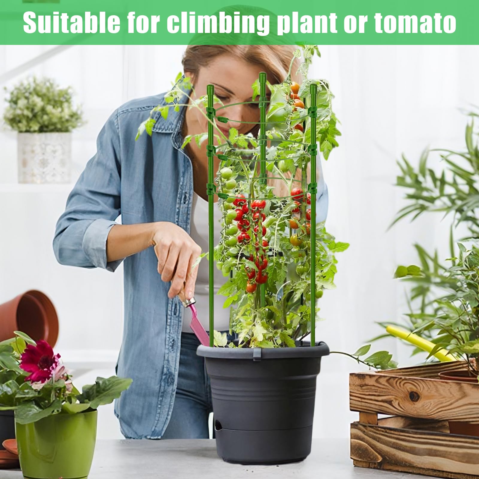 Amazon.com : Legigo 6 Pack 36 Inch Plant Support Cages Tomato Cage
