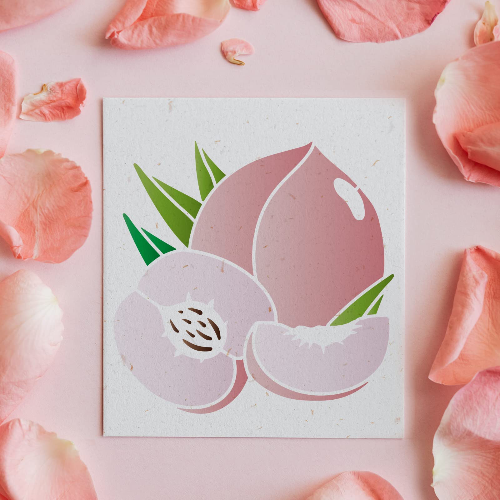 水果圖 Amazon.com: FINGERINSPIRE 9 件水果模板8.8 x 8.8 英吋(約20.0