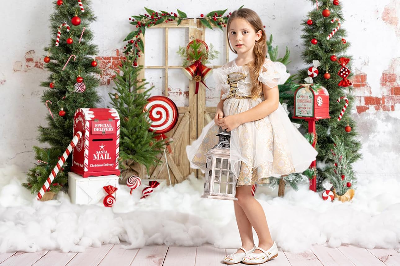 Aazon.co : Kate Christas Photography Backdrops Fireplace Photo