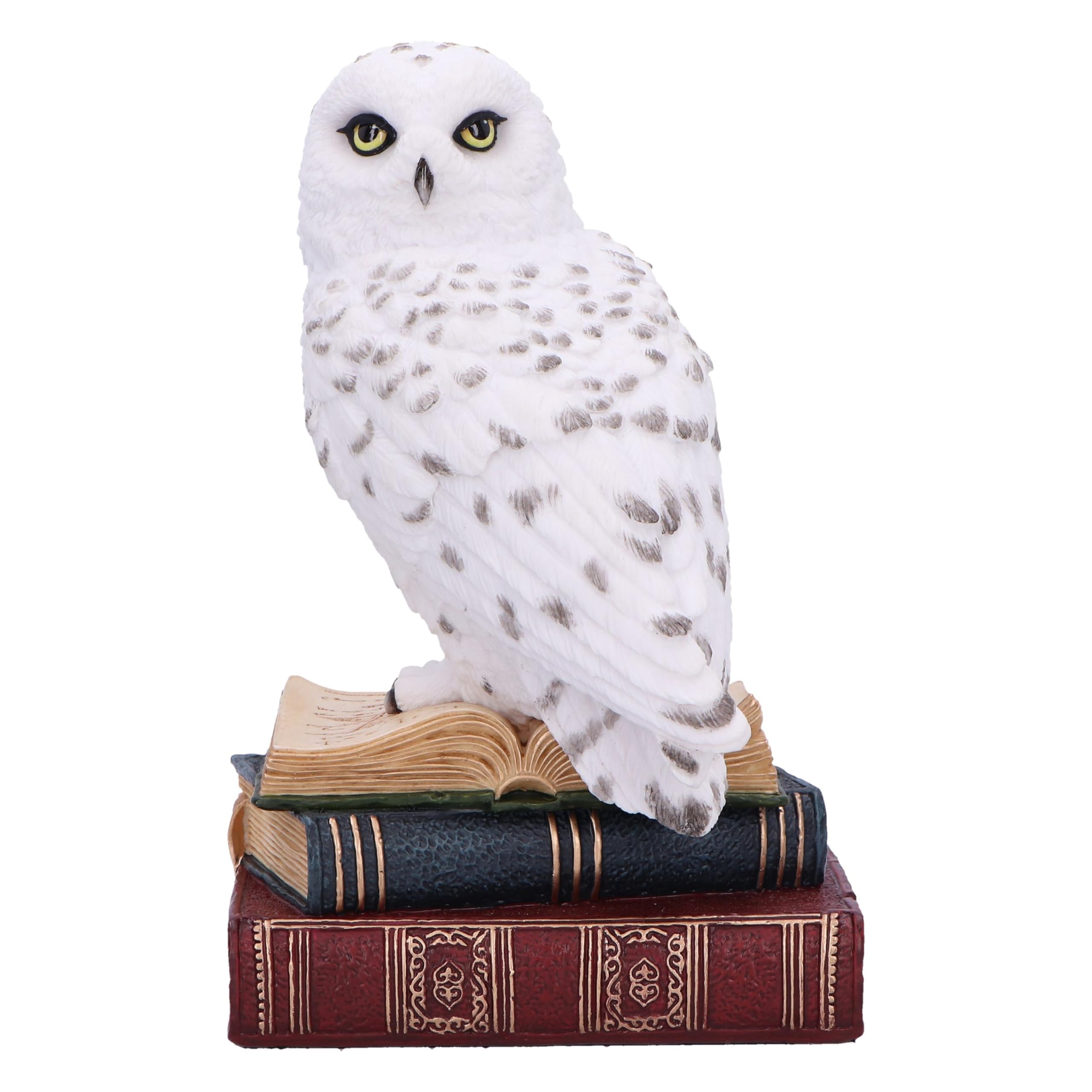 Nemesis Now Statuetta della Biblioteca della saggezza, 17 cm, in resina, bianca, gufo bianco su libri, ornamento per libri fantasy, espositore per libri, colata nella migliore resina, sapientemente