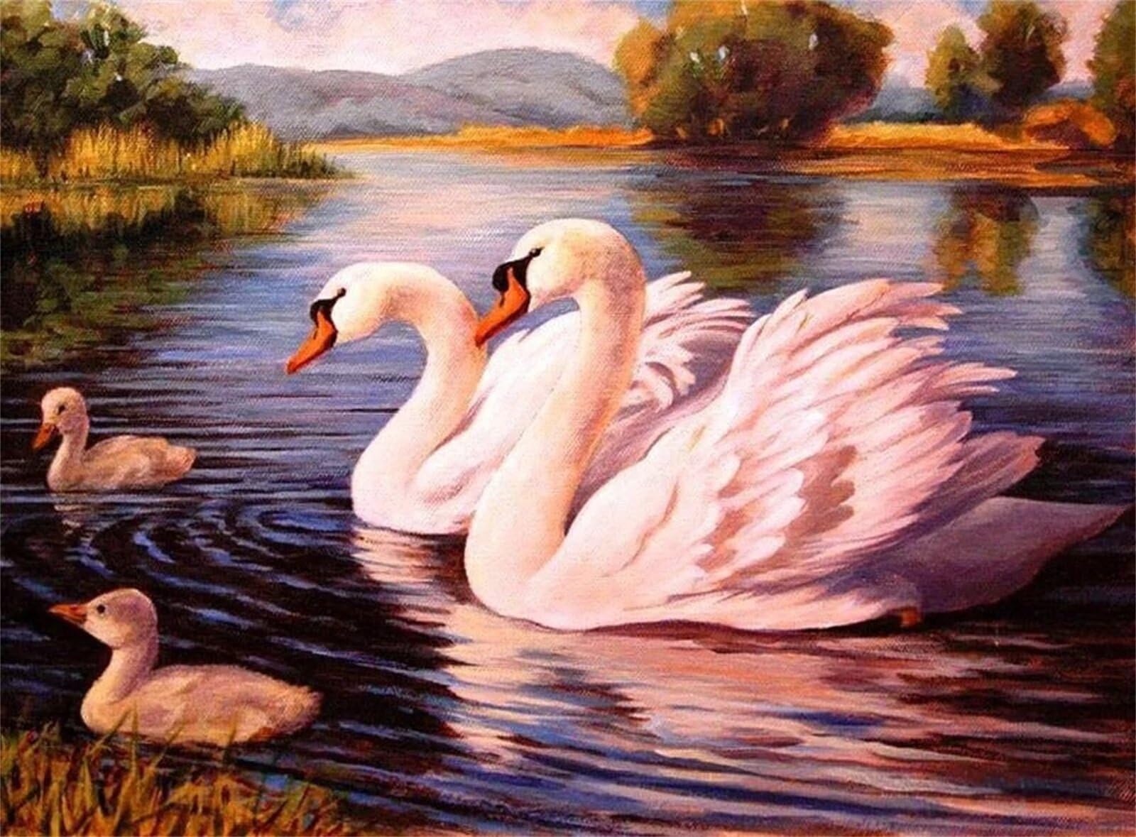 Dipingere con i Numeri Adulti,Famiglia dei cigni Pittura di Numeri a Olio Fai da Te kit di pittura acrilica per adulti Bambini,Con Pennelli e Colori Acrilici per casa Decora Regalo con Telaio,60x75cm