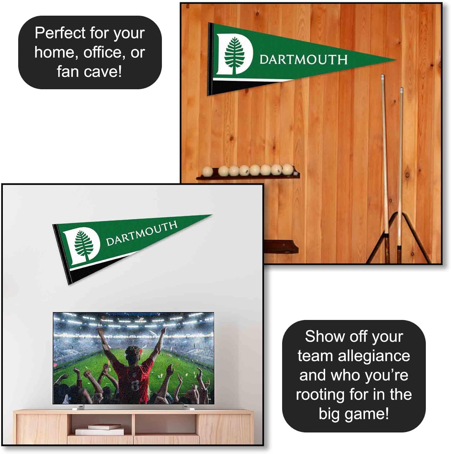 Dartmouth Big Green Logo Pennant Flag - Image 3