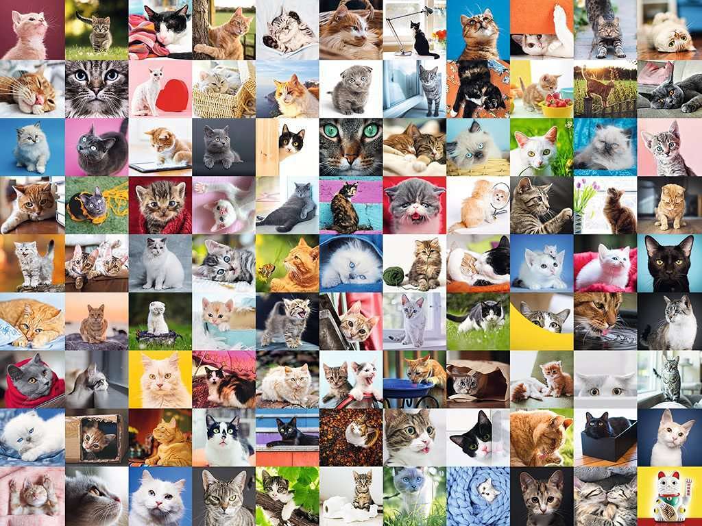 Ravensburger - 99 Gatos (16235)