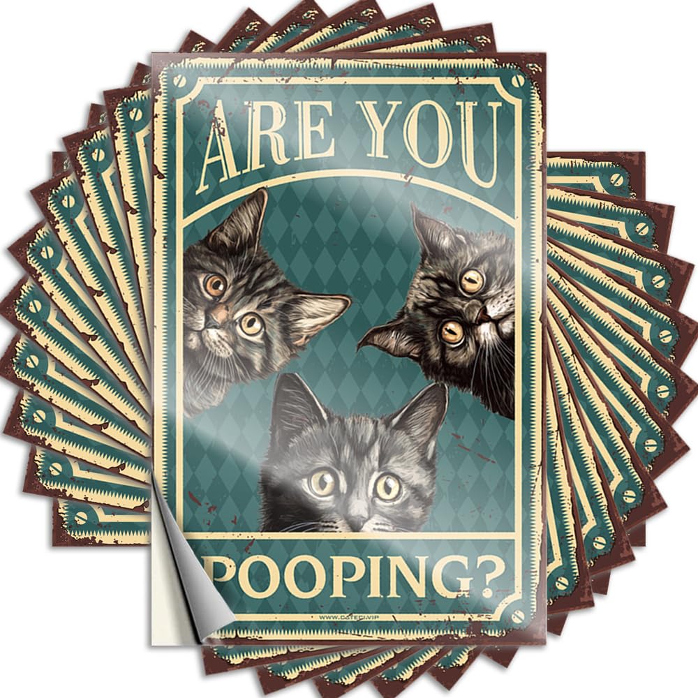 Decals New, Football Case are You Pooping | Back Yard Decorations(12X18CM)