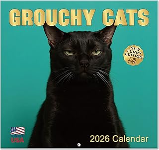 Cat Calendar 2026-12" x 24" (Open) Funny Cat Calendar 2026, Wall Calendars Planner, Gift for Cats Lovers, Hilarious White Elephant Gifts for Office, Useful Gag Gifts for Friends, Family, Coworkers