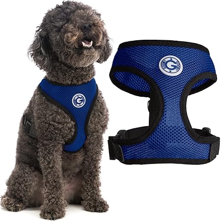 gooby harness amazon