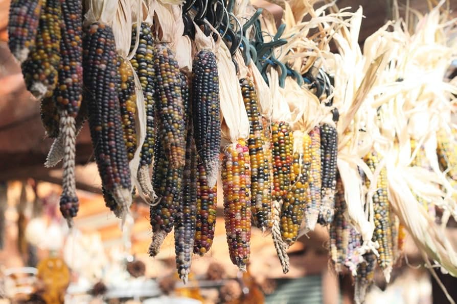 グラスジェムコーン太め　６０本詰め合わせ fb52f82fd40df8be31b77668745de2